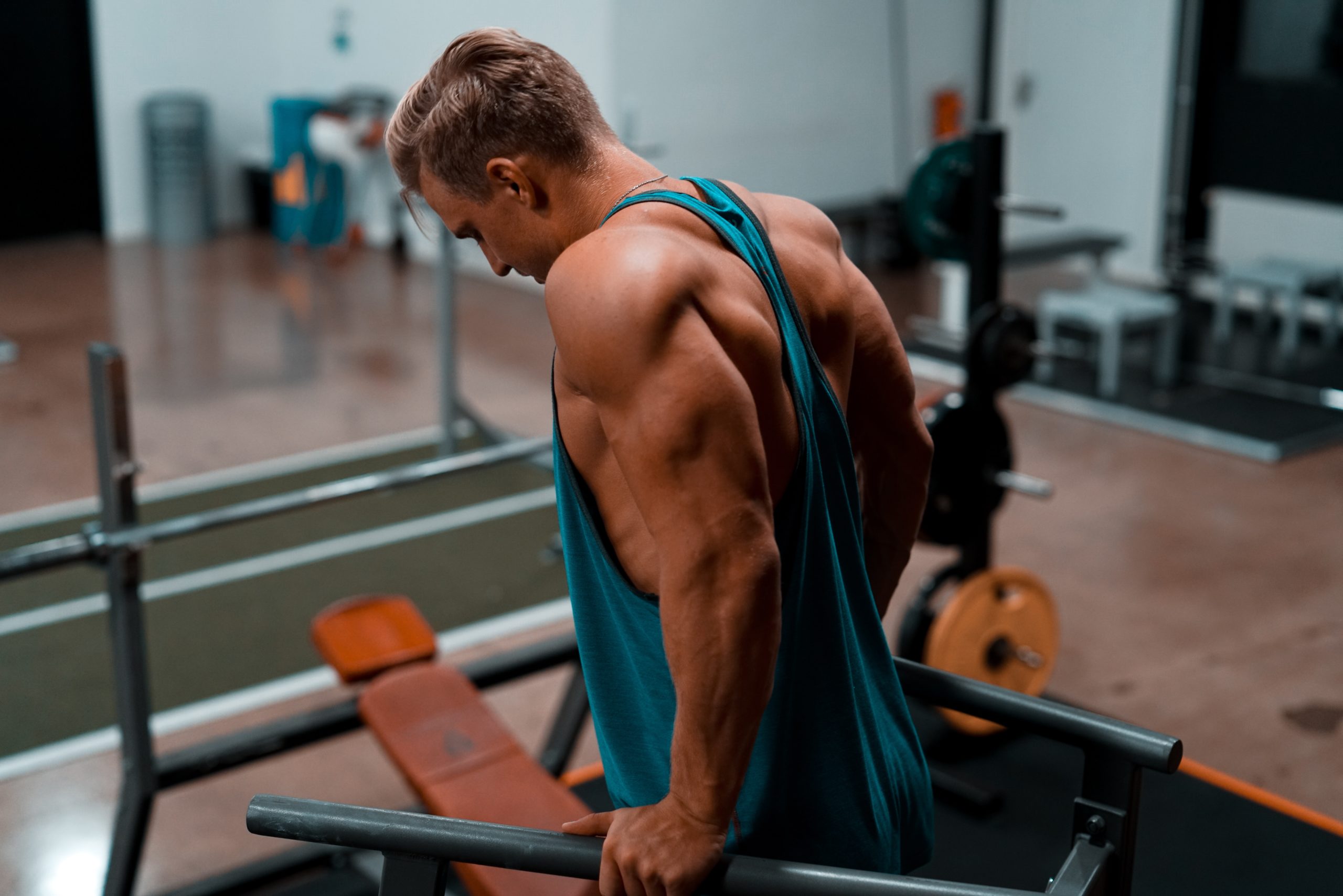 Biceps and Triceps – The Ultimate Arm Workout Guide