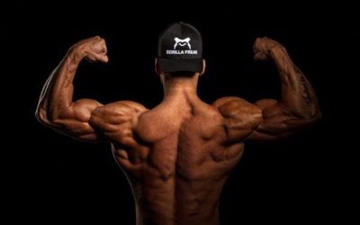 Shoulder Workouts – Building Your Front, Lateral, and Rear Deltoids
