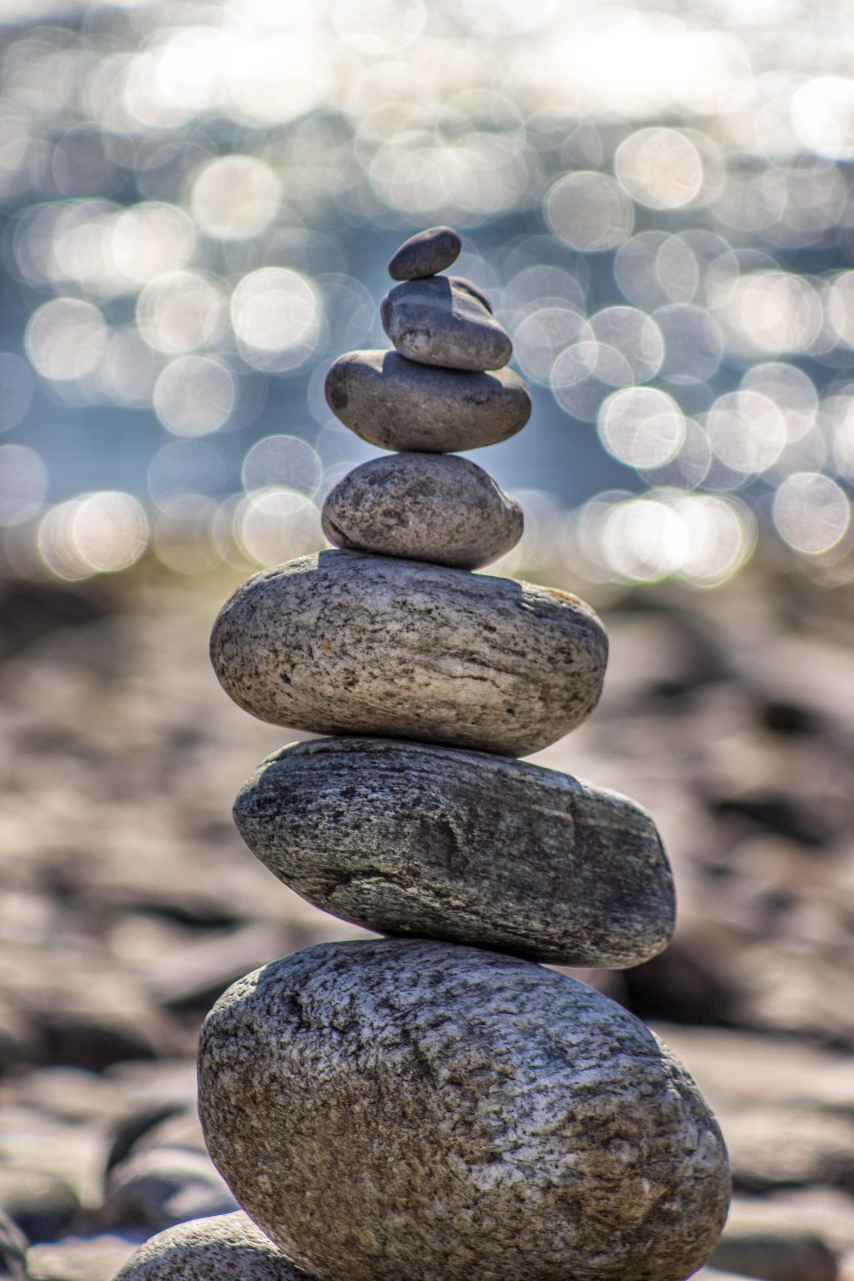 Health and wellness zen balance 