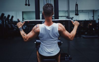 The Back and Bicep Workout That Will Arnoldfy You