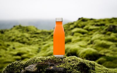 Liquid Life – The Vital Role of Water & Top 5 Best Water Bottles