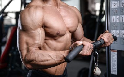 The 3 Cable Bicep Curl Attachments You Need in Your Arsenal
