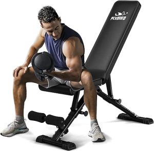 FLYBIRD Adjustable Workout Benches