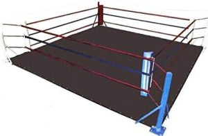 FNine Boxing Ring Canvas Mat