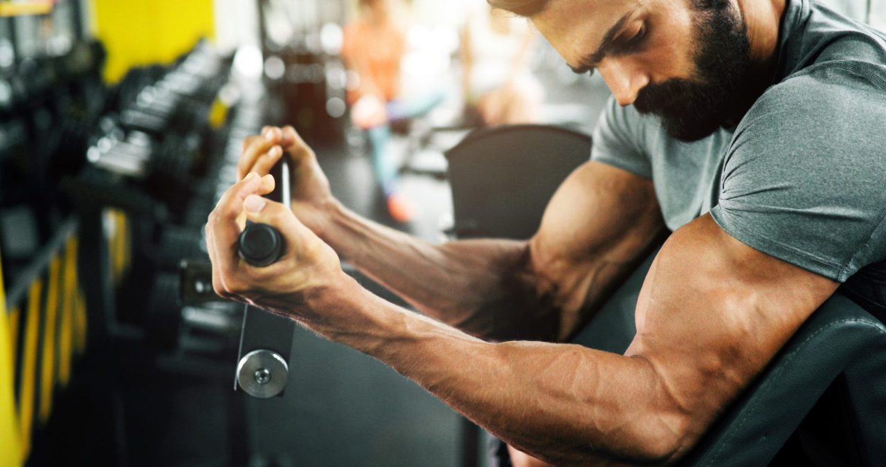 Gym Equipment For Arms Top 5 Best Options For an Arm Pump