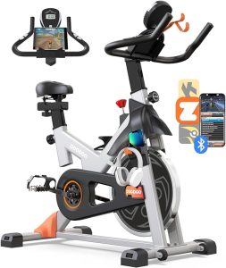 pooboo Exercise Bike