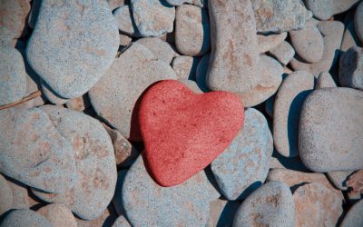 Stone Heart – Understanding an Ischemic Myocardial Contracture