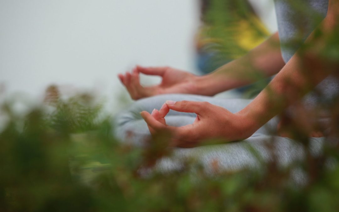 Infinite Possibilities – A Deep Dive Into The World Of Hand Mudras