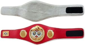 IBF World Boxing Champion Ship Replica Boxing Belt