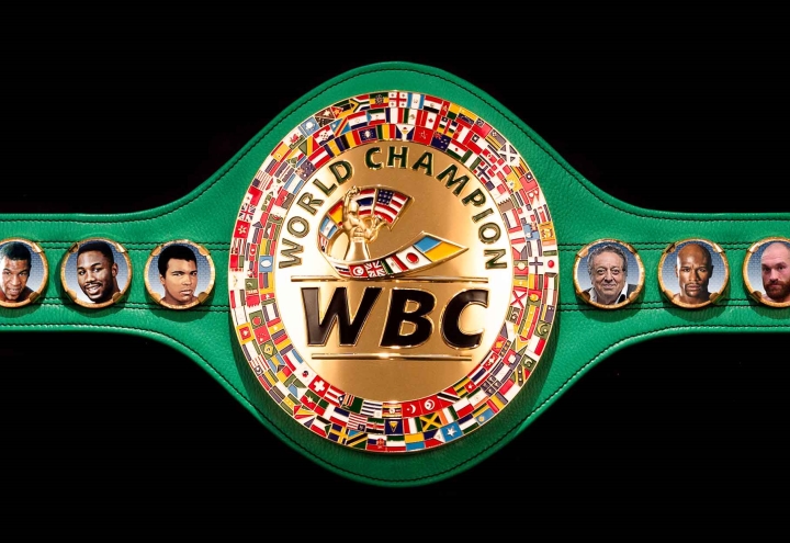 WBC Boxing Belt
