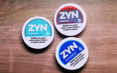 What is the Best Zyn Flavor and How Does Nicotine Effect Brains?